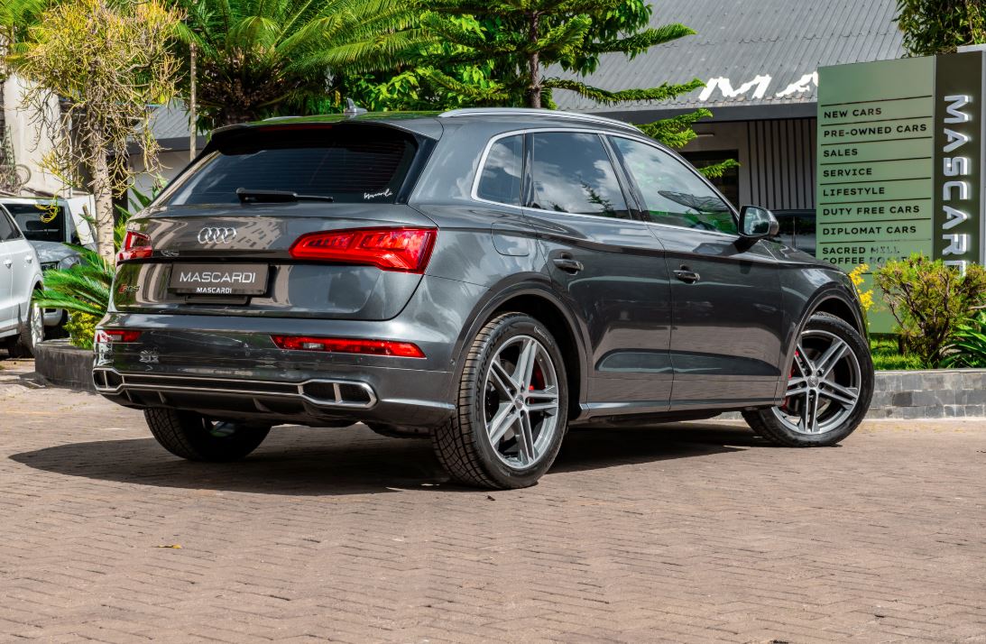 2019 Audi SQ5 3.0 V6 Quattro parked besides a tree