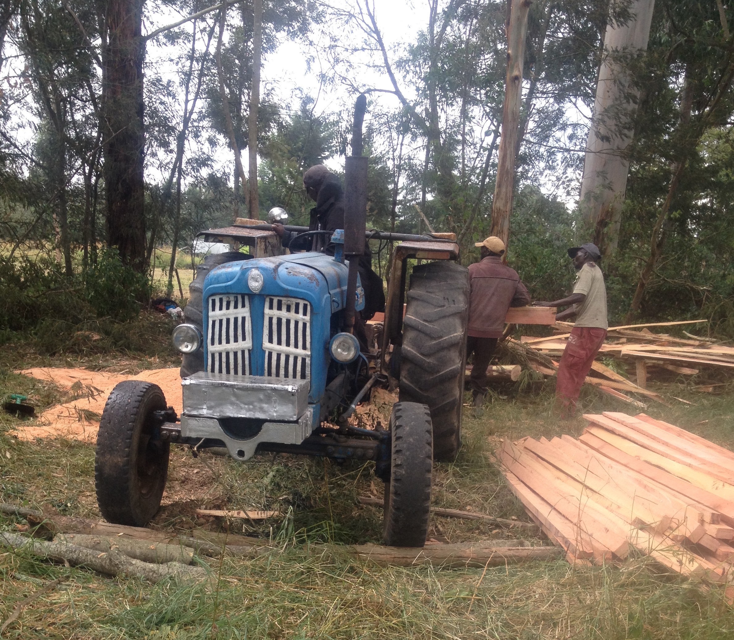A blue Tractor ins a Forest Field