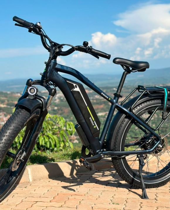 eWAKA Buga Electric Bike