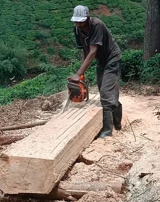 Power Saw Hire Near Nairobi – Petrol Chain Saw for Tree Cutting (KSh 950 per Tank)