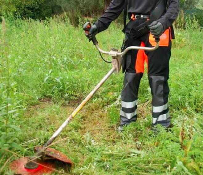 Lawn Mower & Brush Cutter Services in Kenya