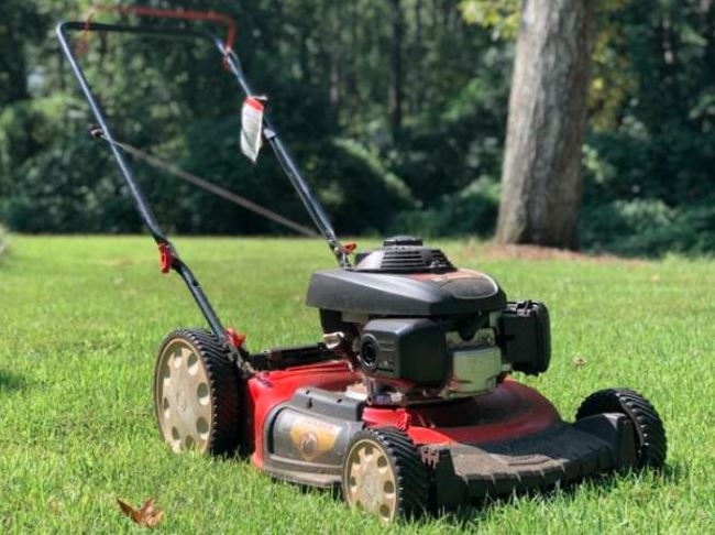 Lawn Mower & Brush Cutter Services in Kenya photo