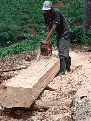 Power Saw / Chain Saw for Hire in Kenya photo