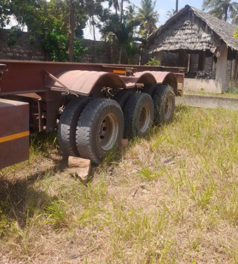 Nexus ZH skeleton photo